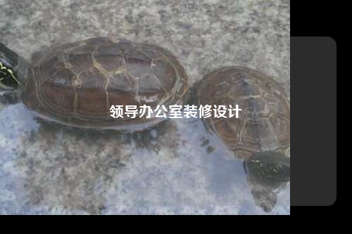 領(lǐng)導(dǎo)辦公室裝修設(shè)計