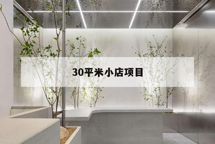 30平米小店項目,十平米小店項目