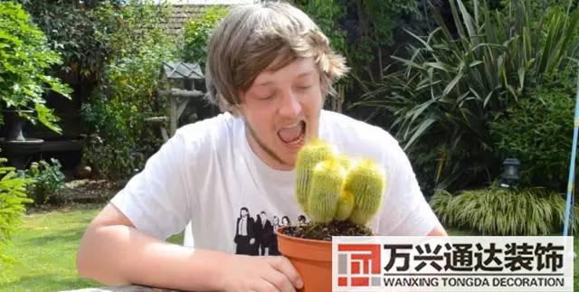 屬相與辦公室座位風水辦公室什么座位風水好