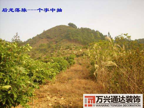 風水世家358風水世家366